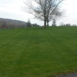 Section 1 mow lines